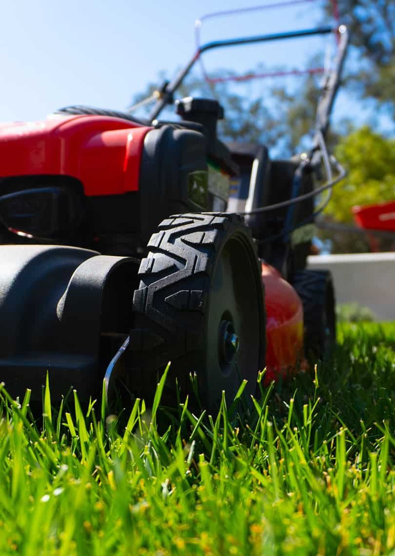 landscaping-06b