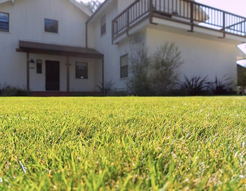 landscaping-21b